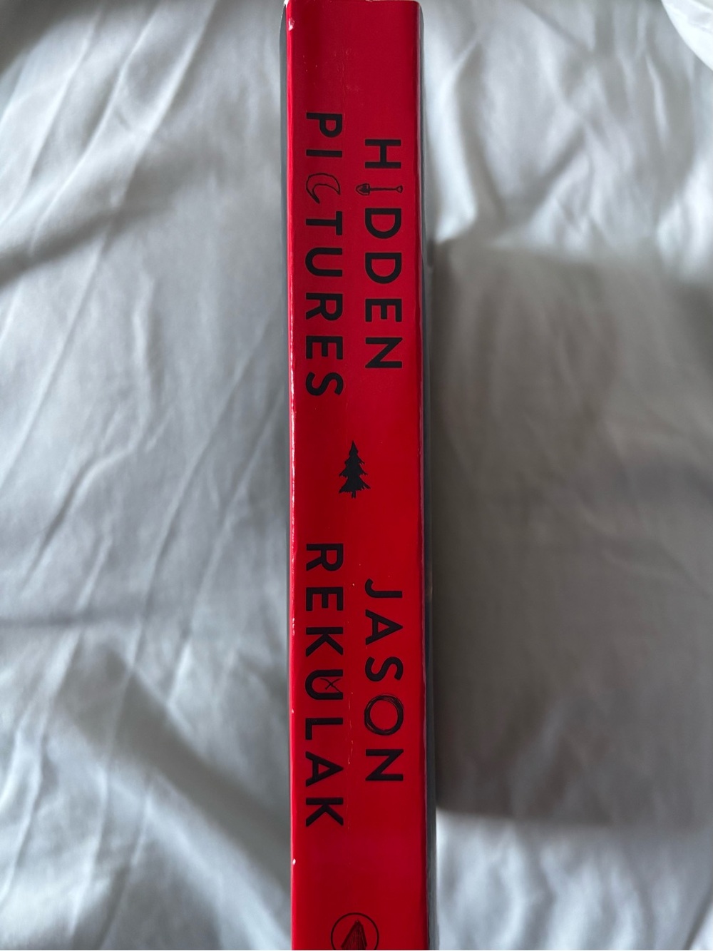 Jason Rekulak Hidden Pictures Paperback Book - Picture 3 of 3
